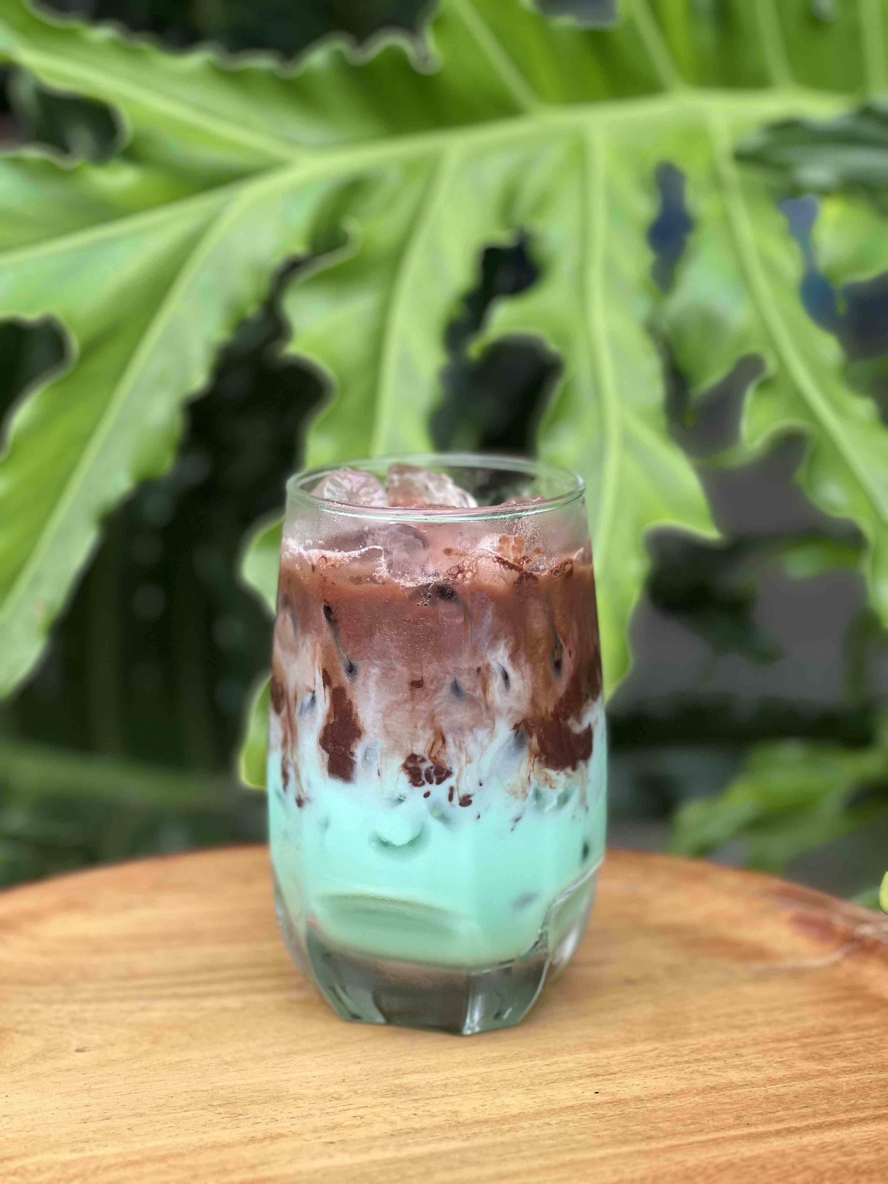 Ca cao bạc hà